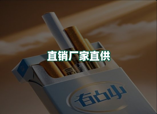 核心优势
